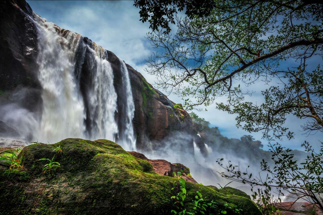 Niraamaya Retreats Samroha Athirappilly Luaran gambar